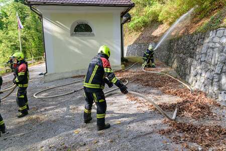 Regijska gasilska vaja "Gozdni požar na Semiški gori"